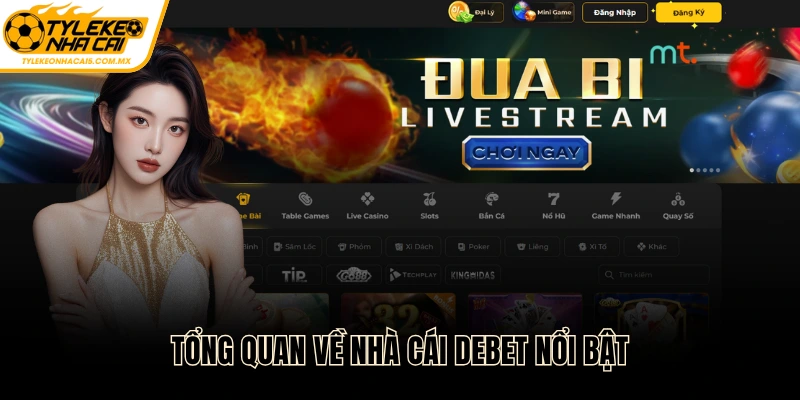 Giới thiệu tổng quan về nhà cái DEBET